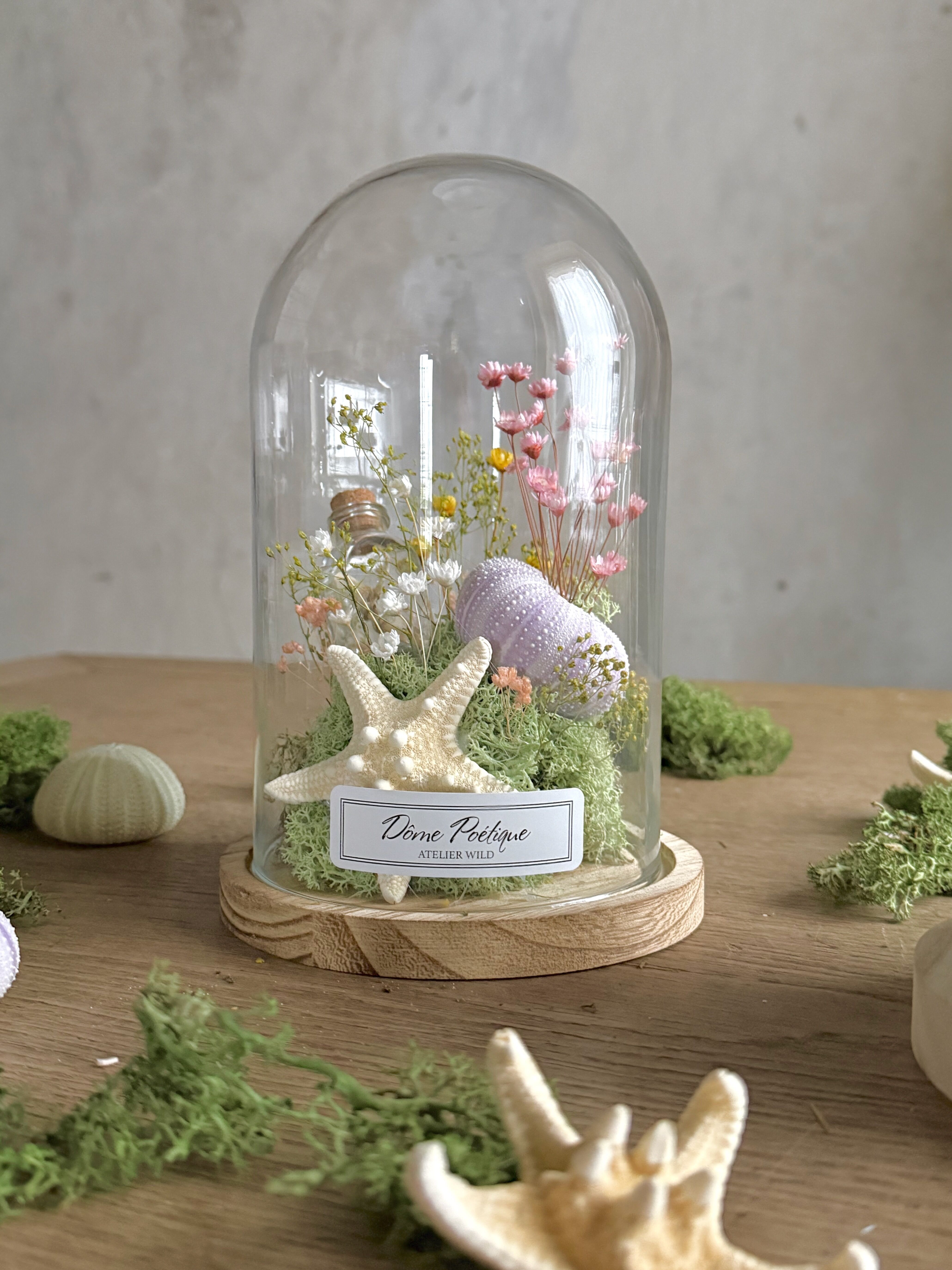 Poetic Dome "Riccio di mare" - Grande