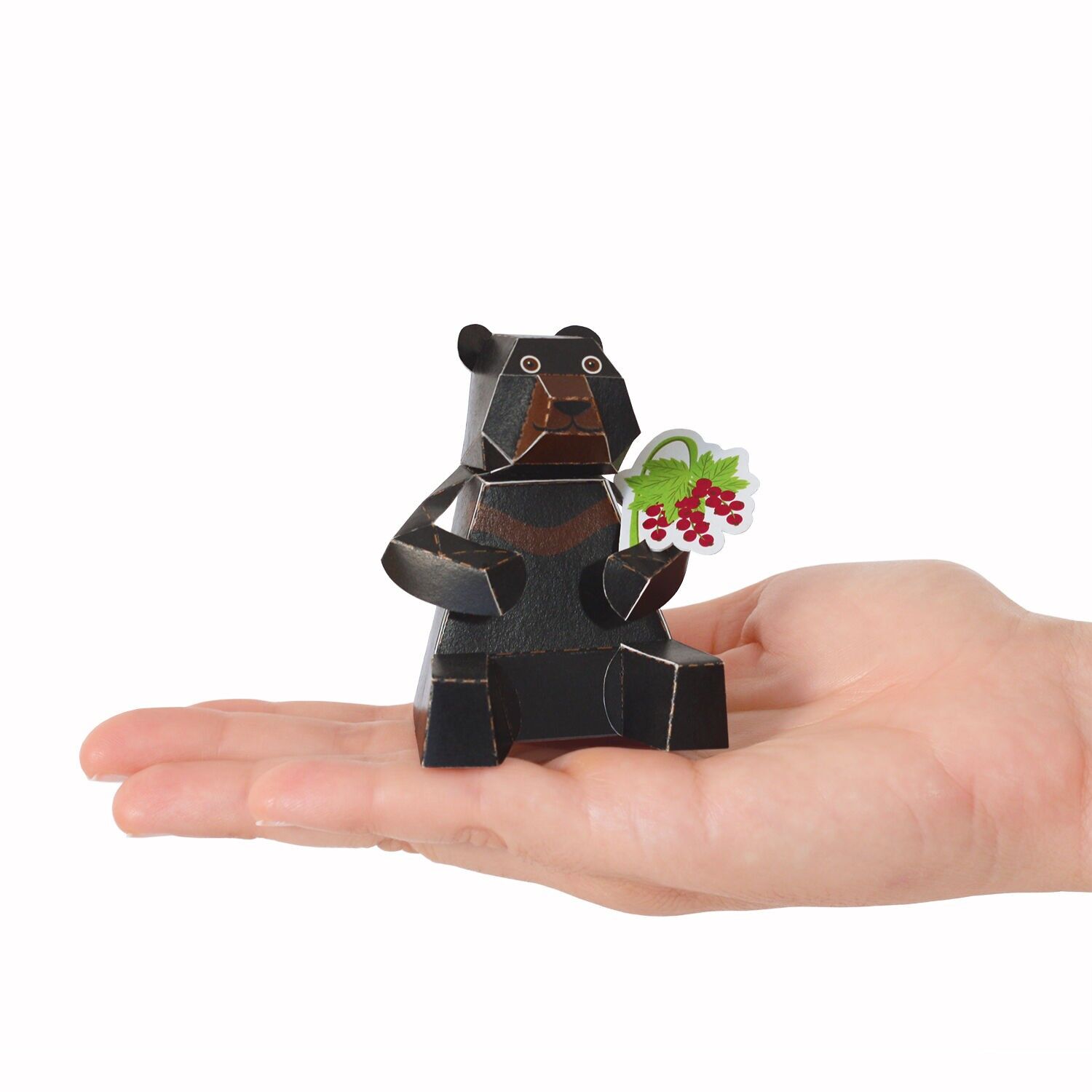 Postal del oso negro