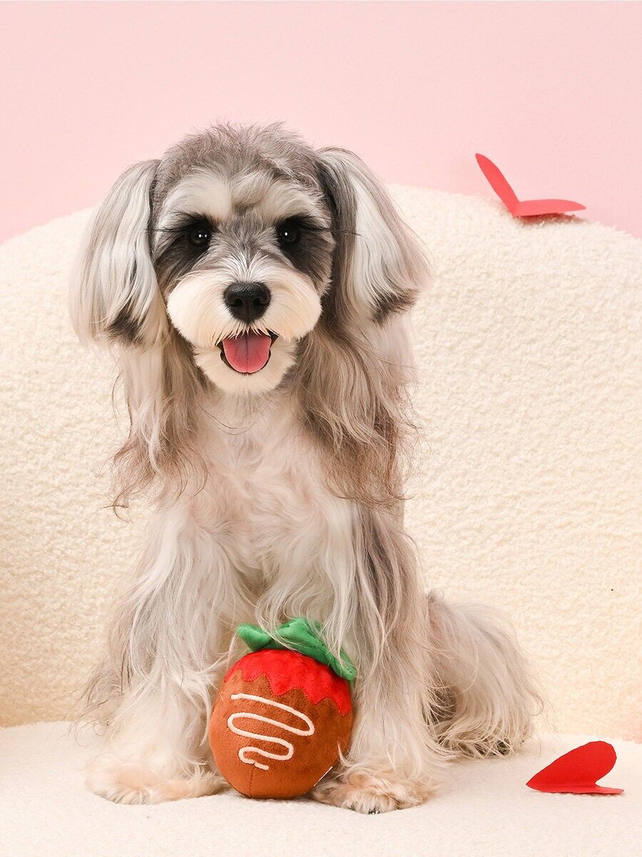 Peluche per cani - Fuzzy Friendz - Woof Love - Fragola e cioccolato - HugSmart