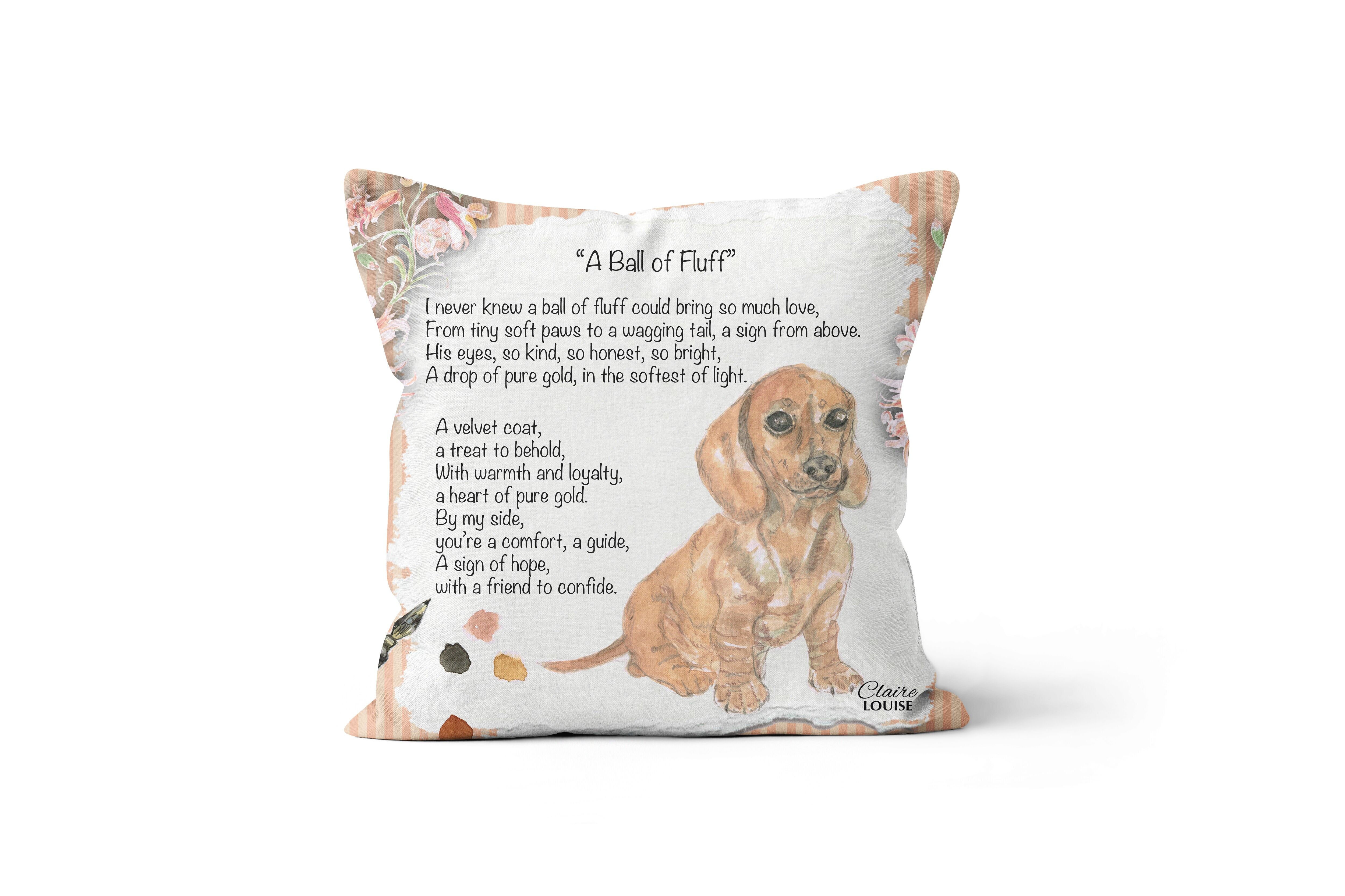 Un coussin en peluche - Le poème peint