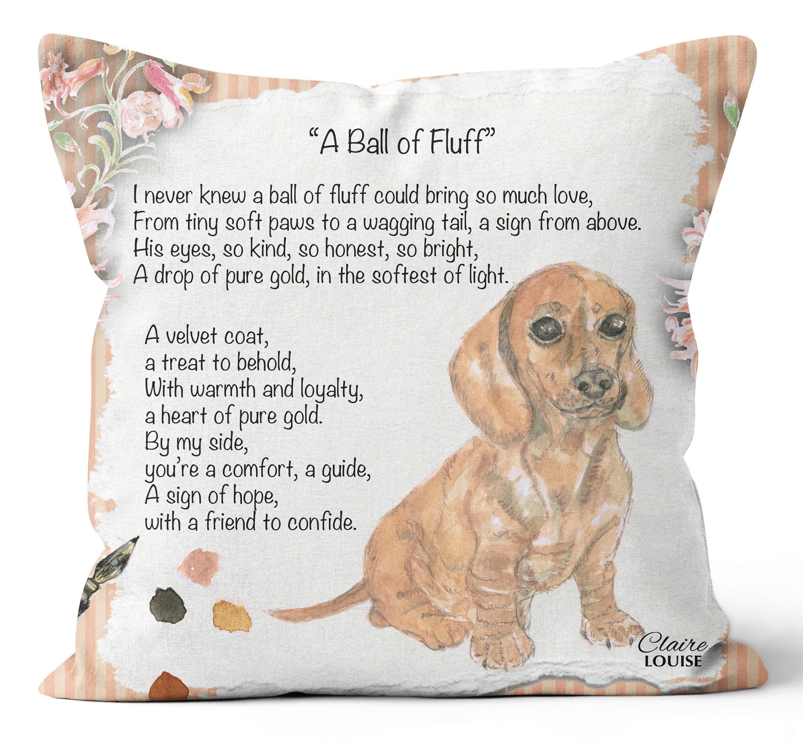 Un cuscino di pelo - La poesia dipinta