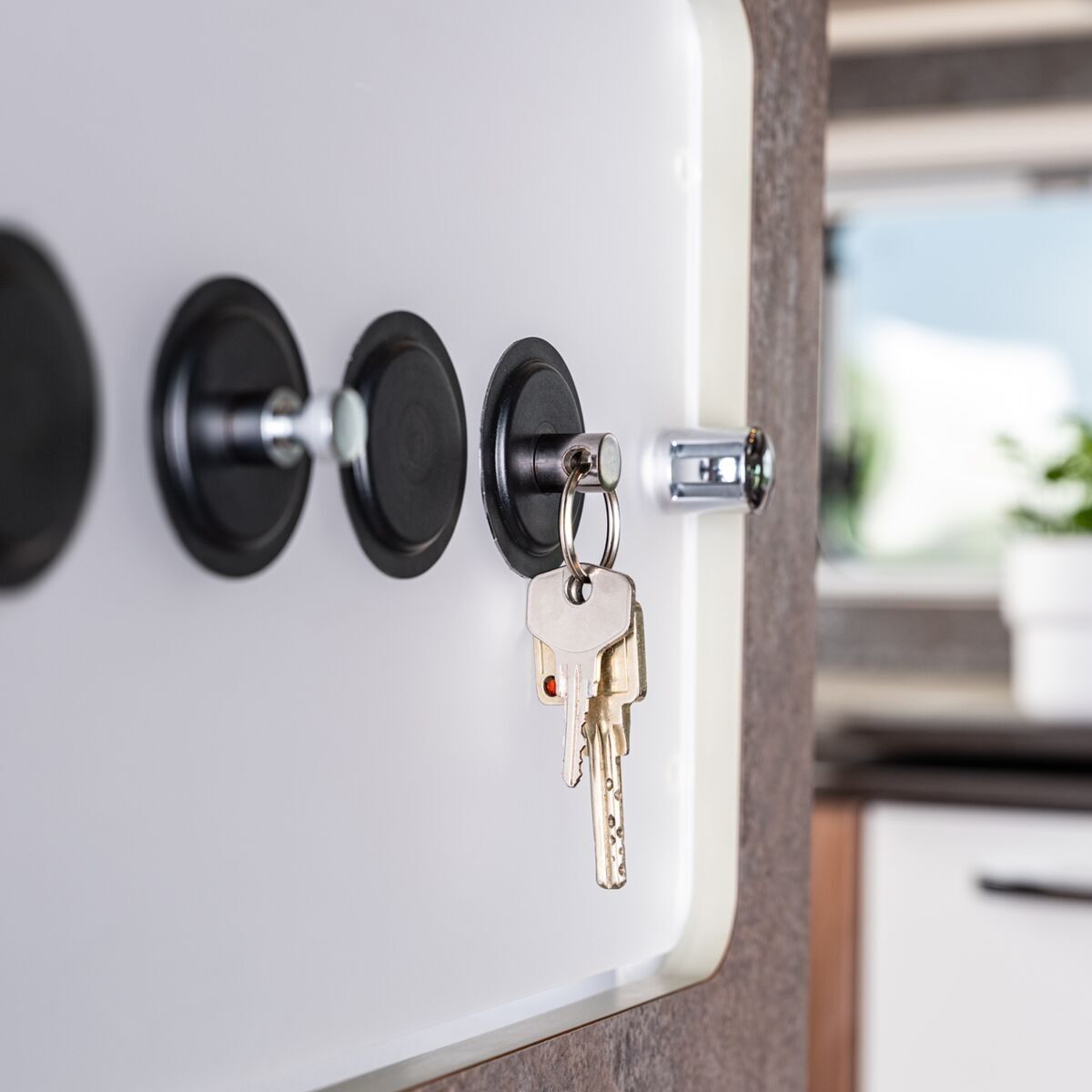 Chinchetas magnéticas gelmags® "EDEL" incl.Almohadillas S, paquete de 4, negras | Camping | Extraíbles y reutilizables | Barco | Camping | Magnetiza tus utensilios de cocina | Mejora | Equipo de camping y navegación | Accesorios | Solución para camping