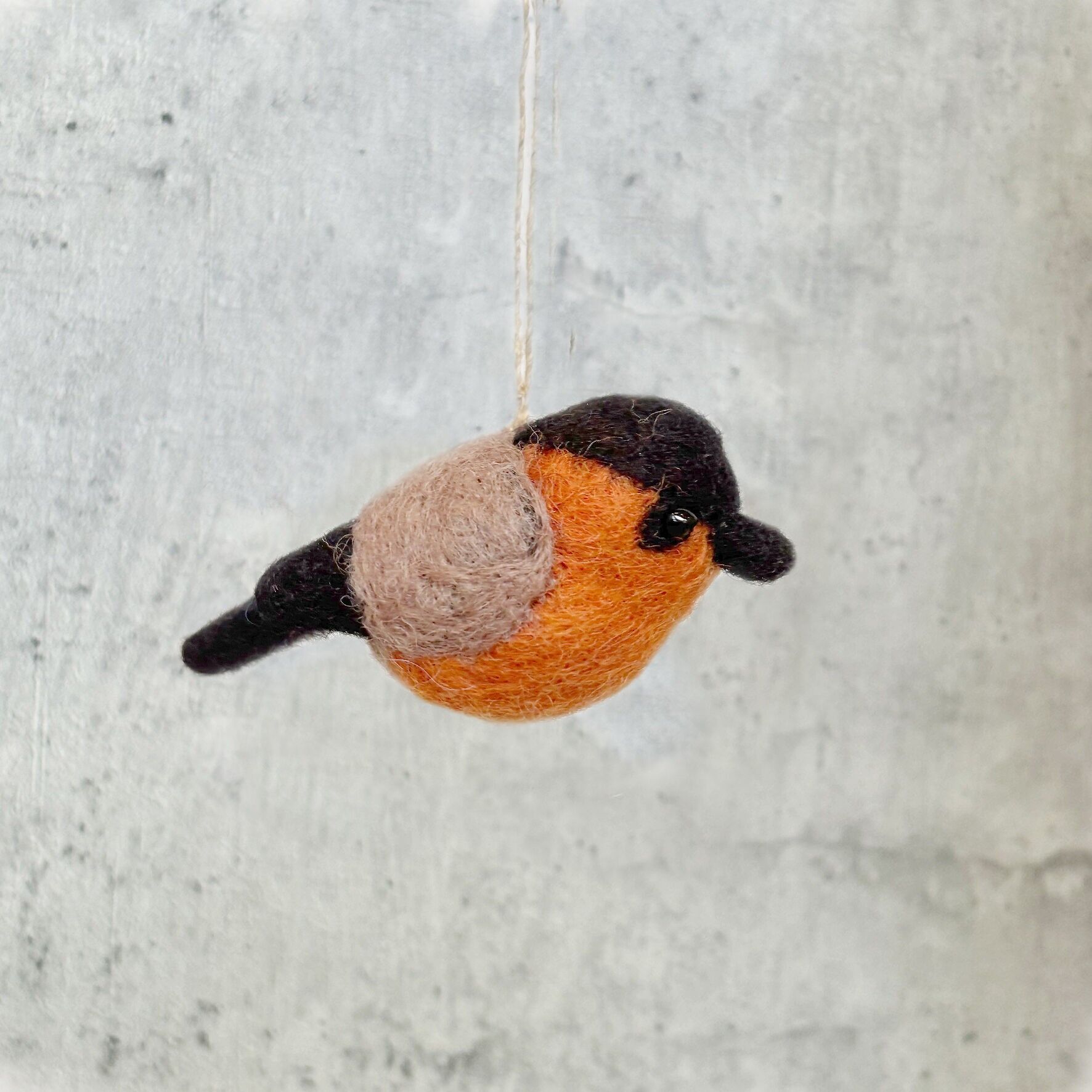 Oiseau Goudvink (5C-BIR-GOUD)