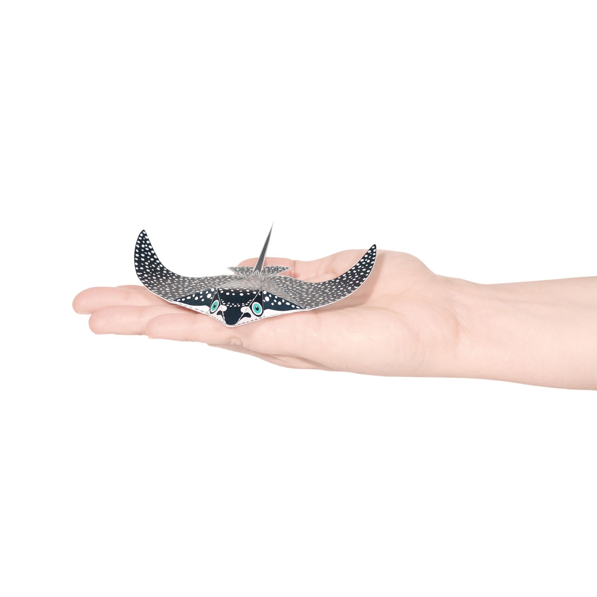 Postal de raya águila moteada