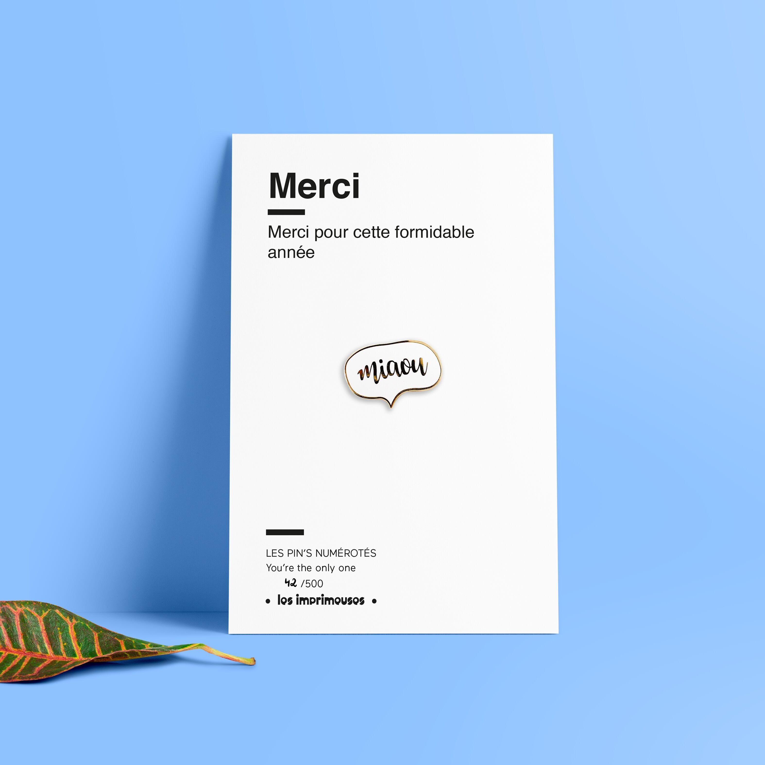 Miau-Katzen-Anstecknadel – Dankeschön (zum Ende des Schuljahres)