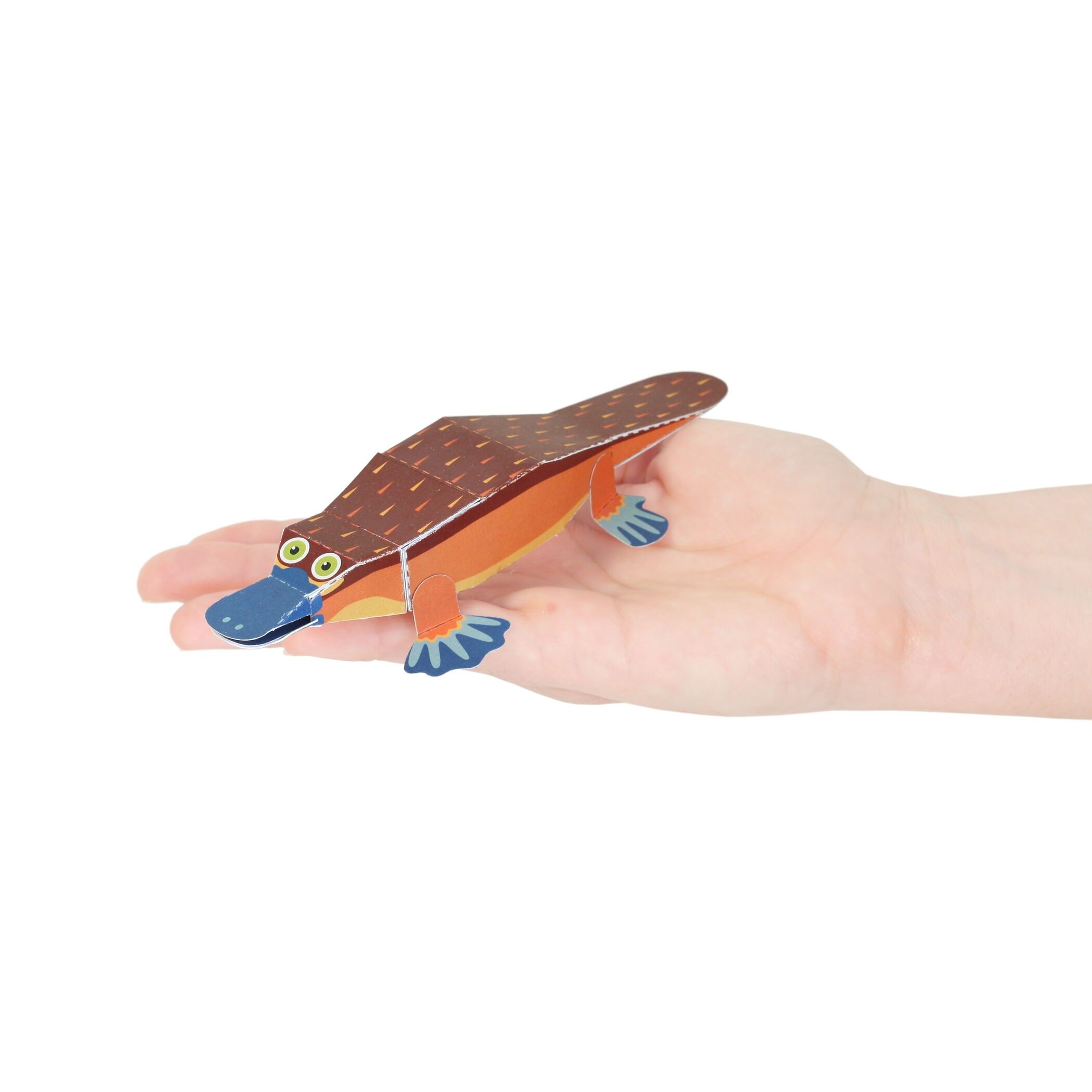 Postal del ornitorrinco