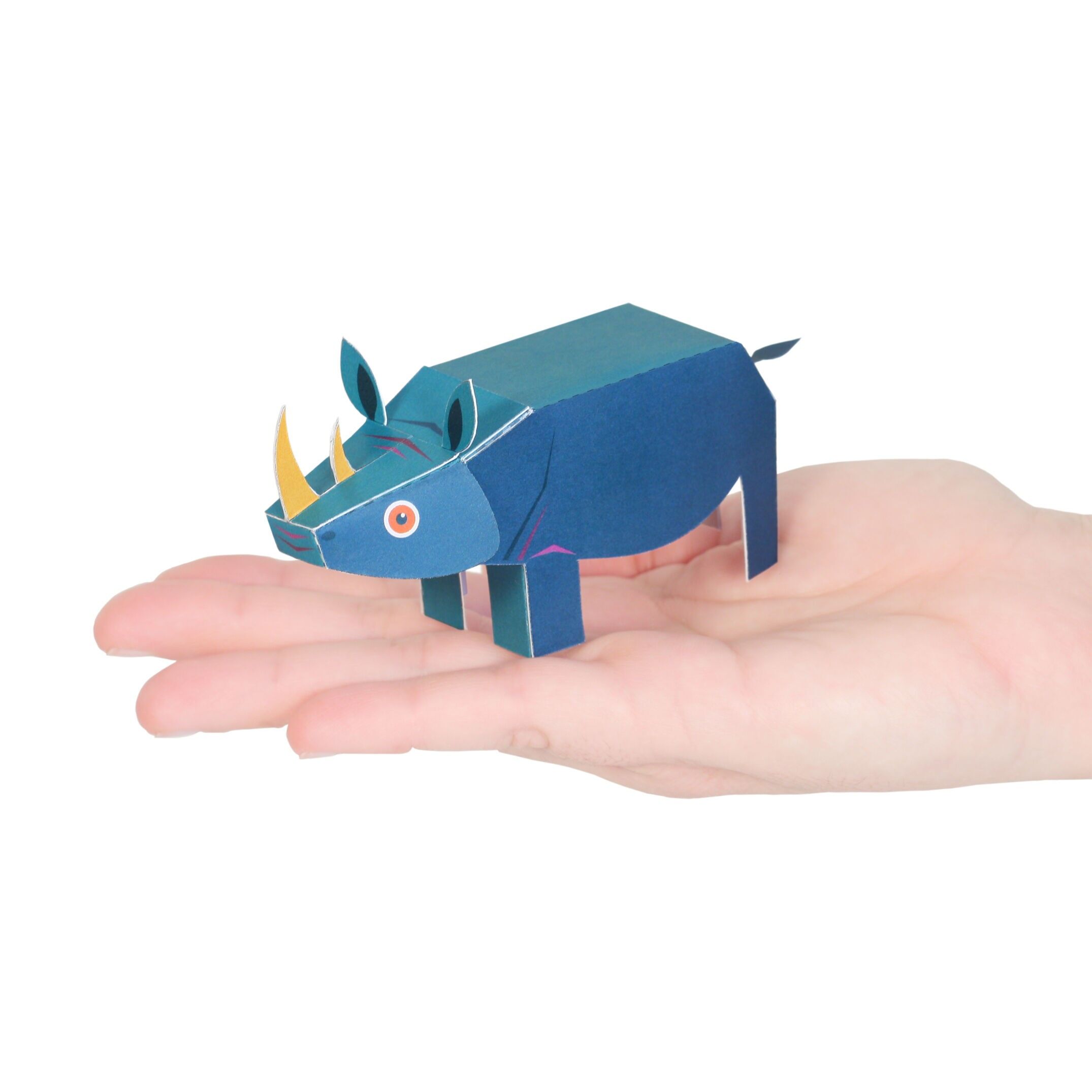 Postal de rinoceronte