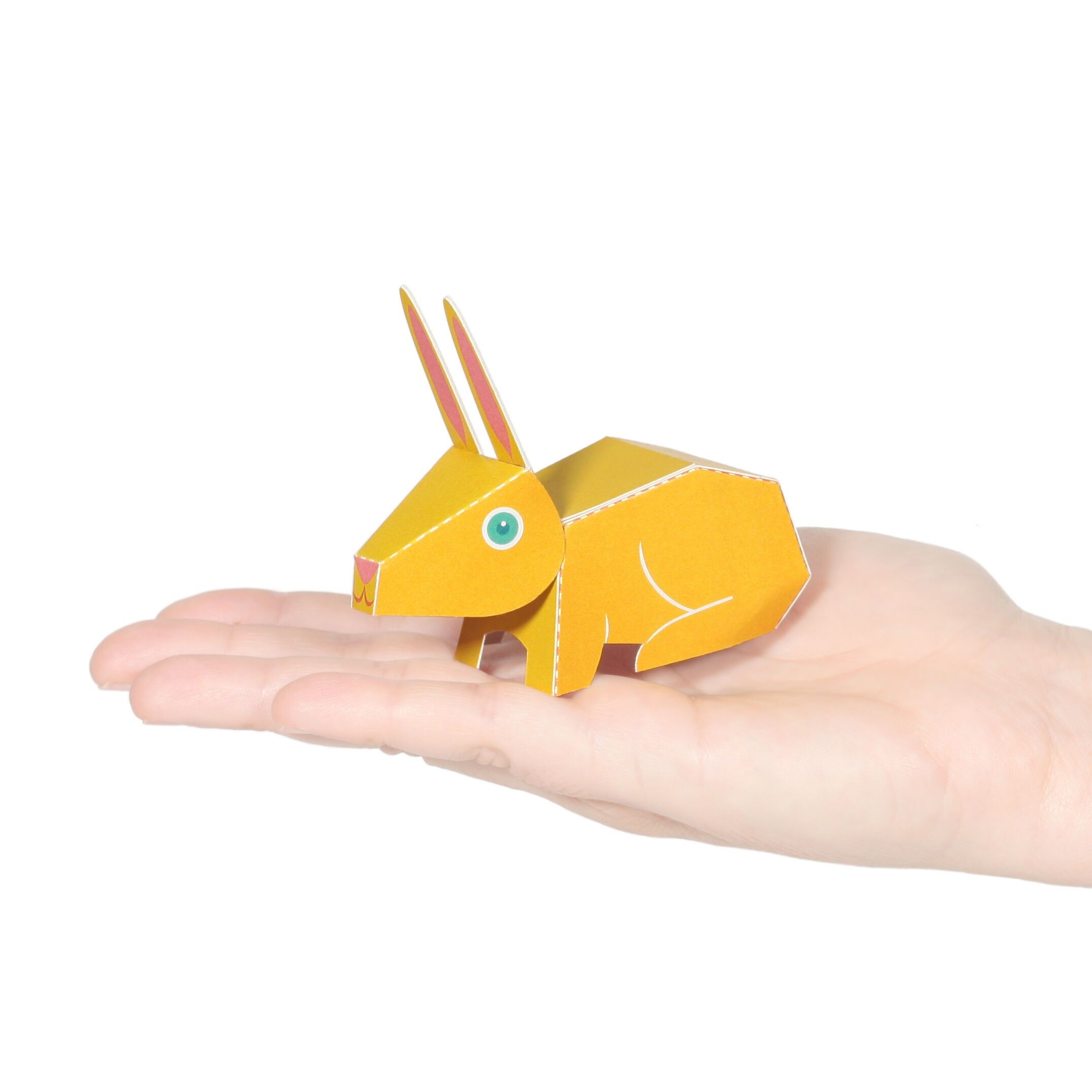 Postal de conejo rex