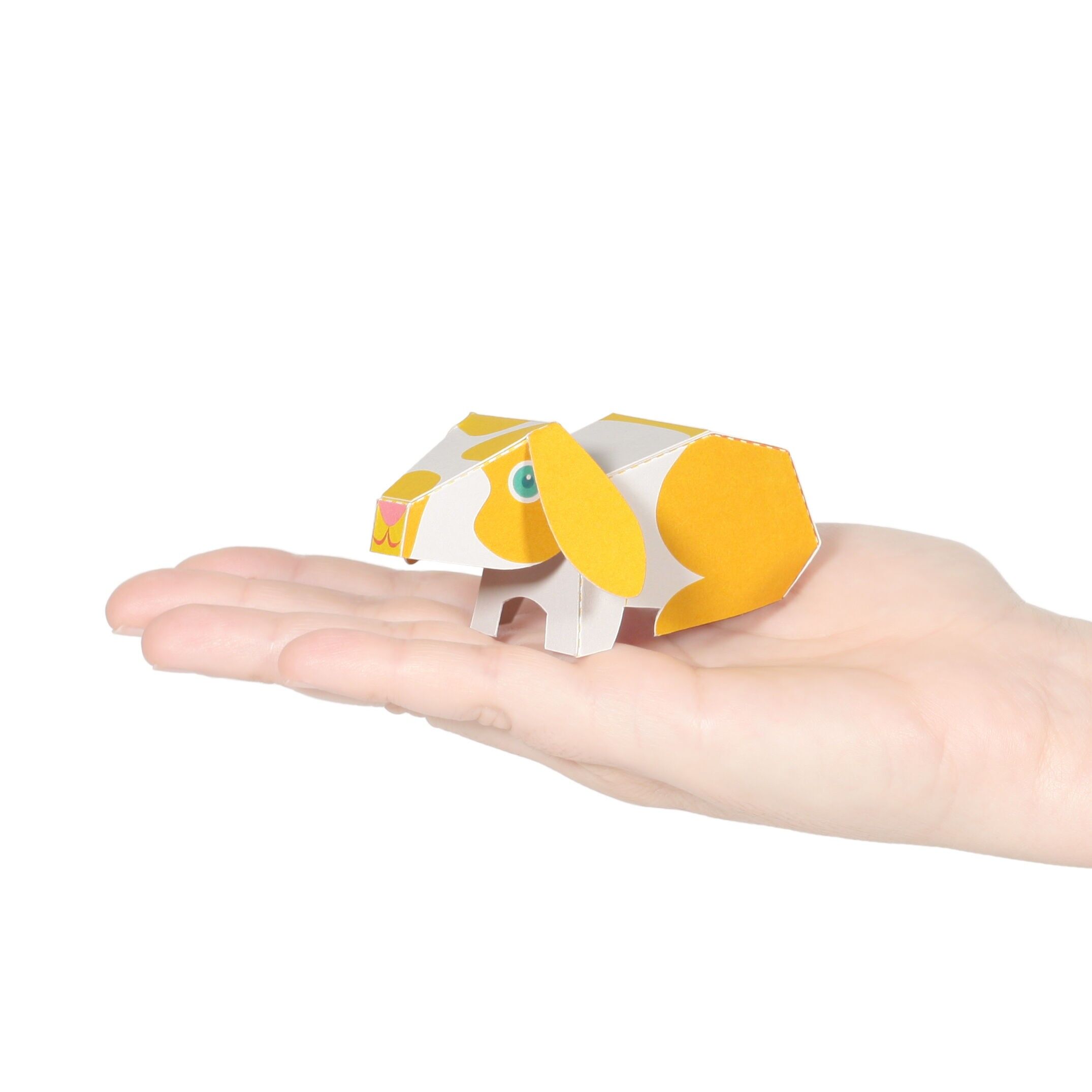 Postal de conejo Holland Lop