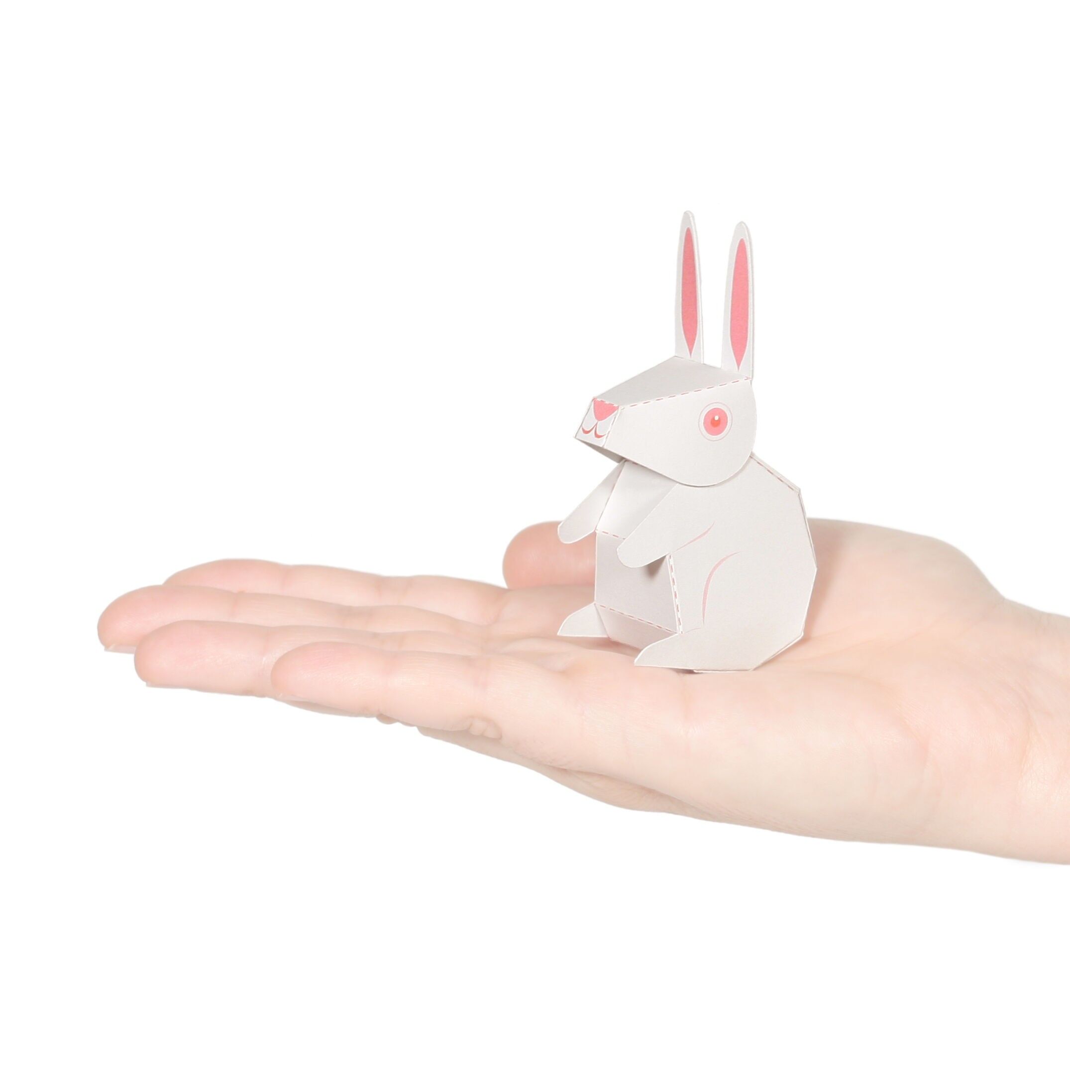 Postal de conejo de Nueva Zelanda