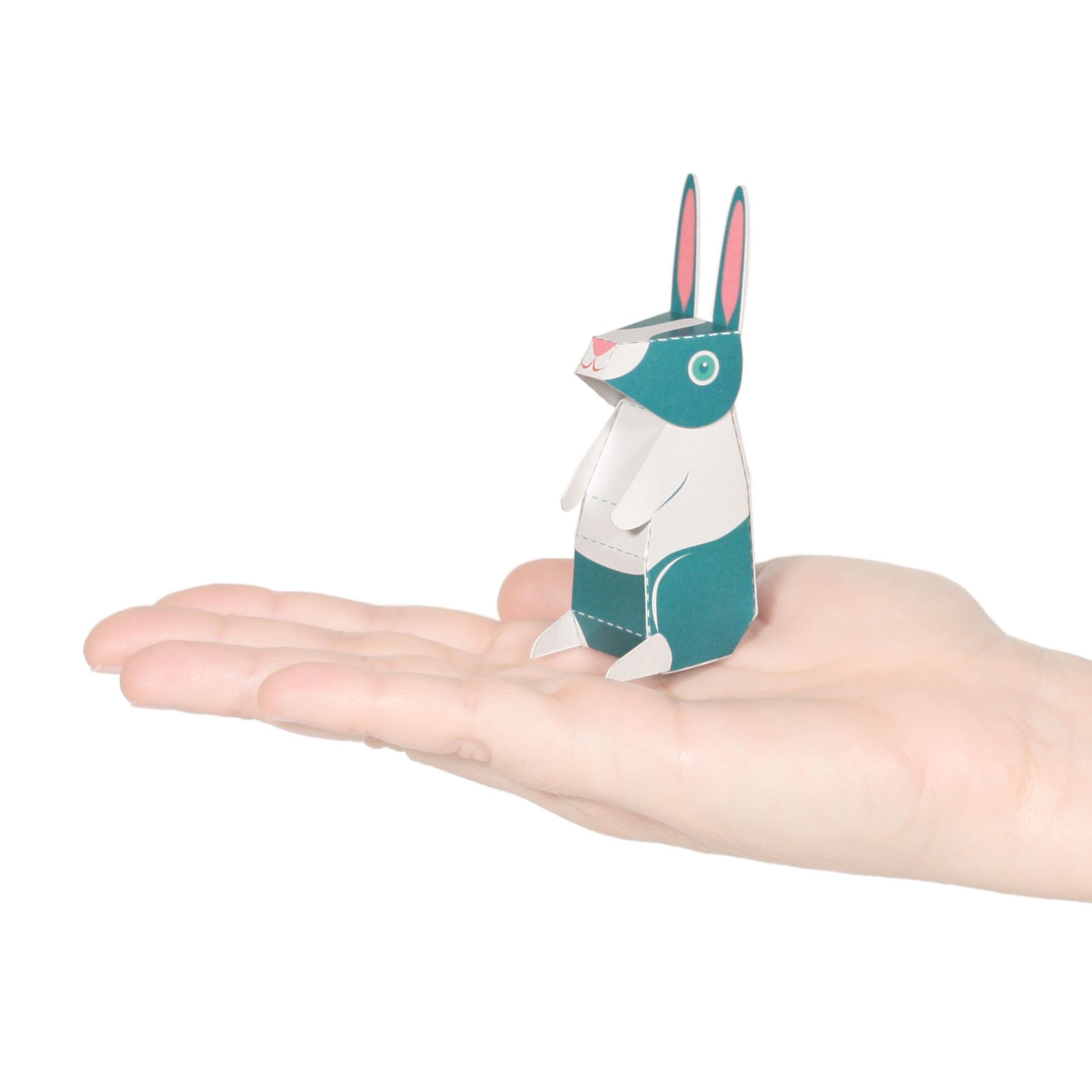 Postal de conejo holandés