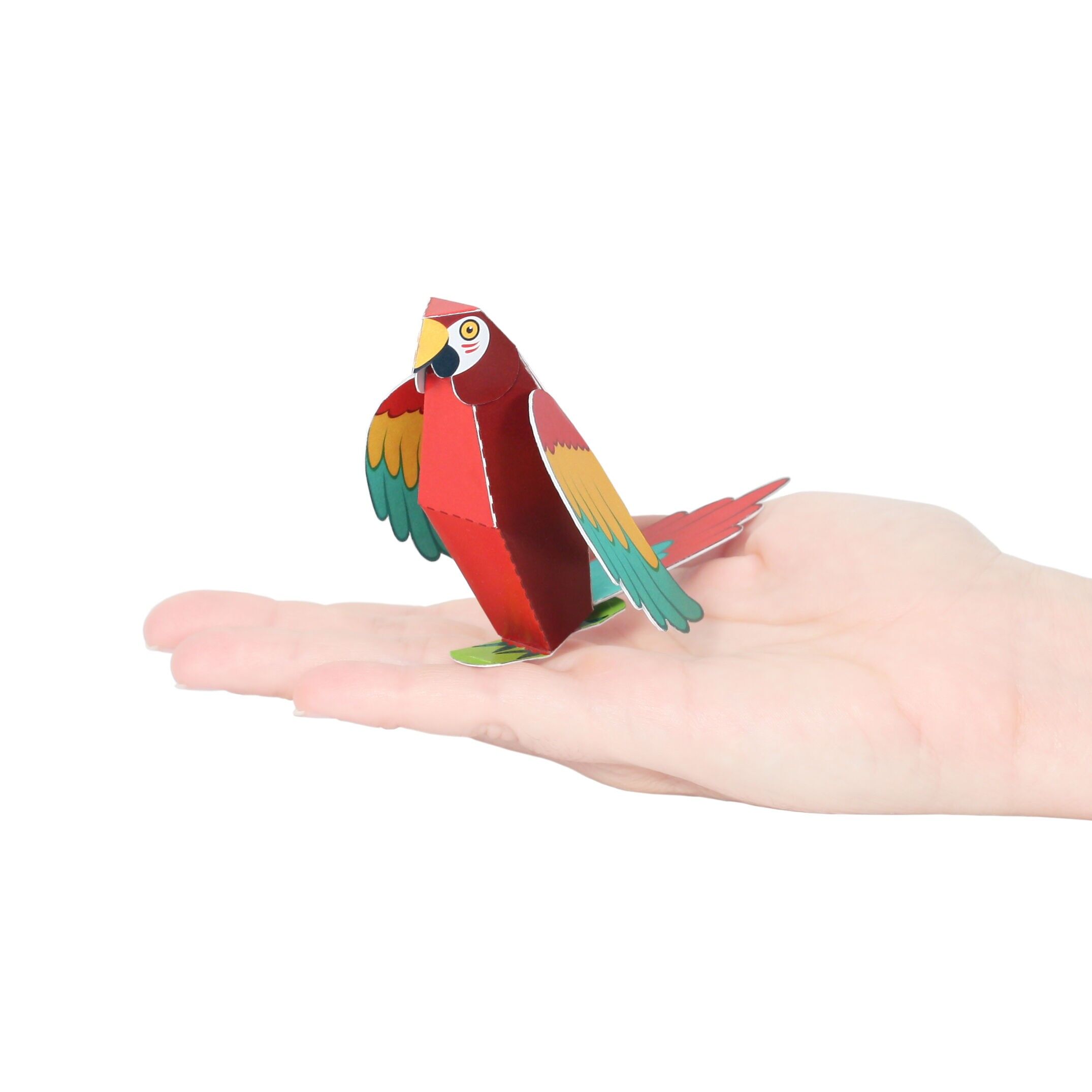 Postal de guacamayo escarlata