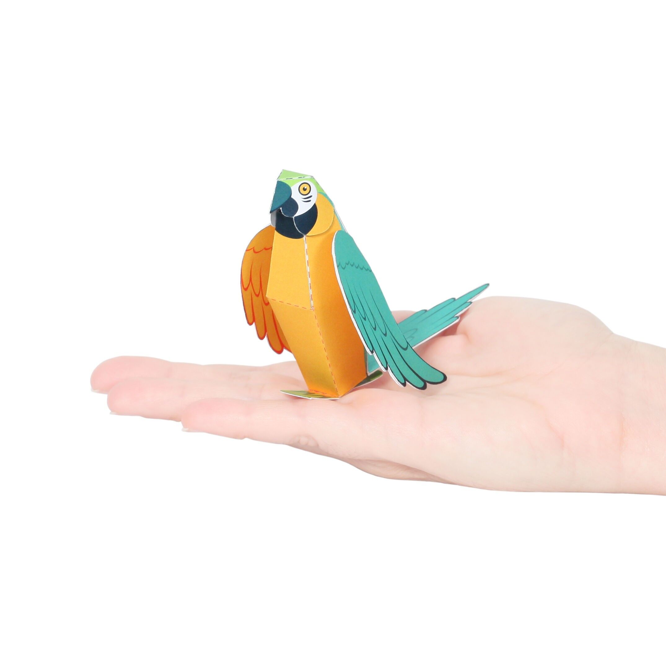 Postal de guacamayo azul y amarillo