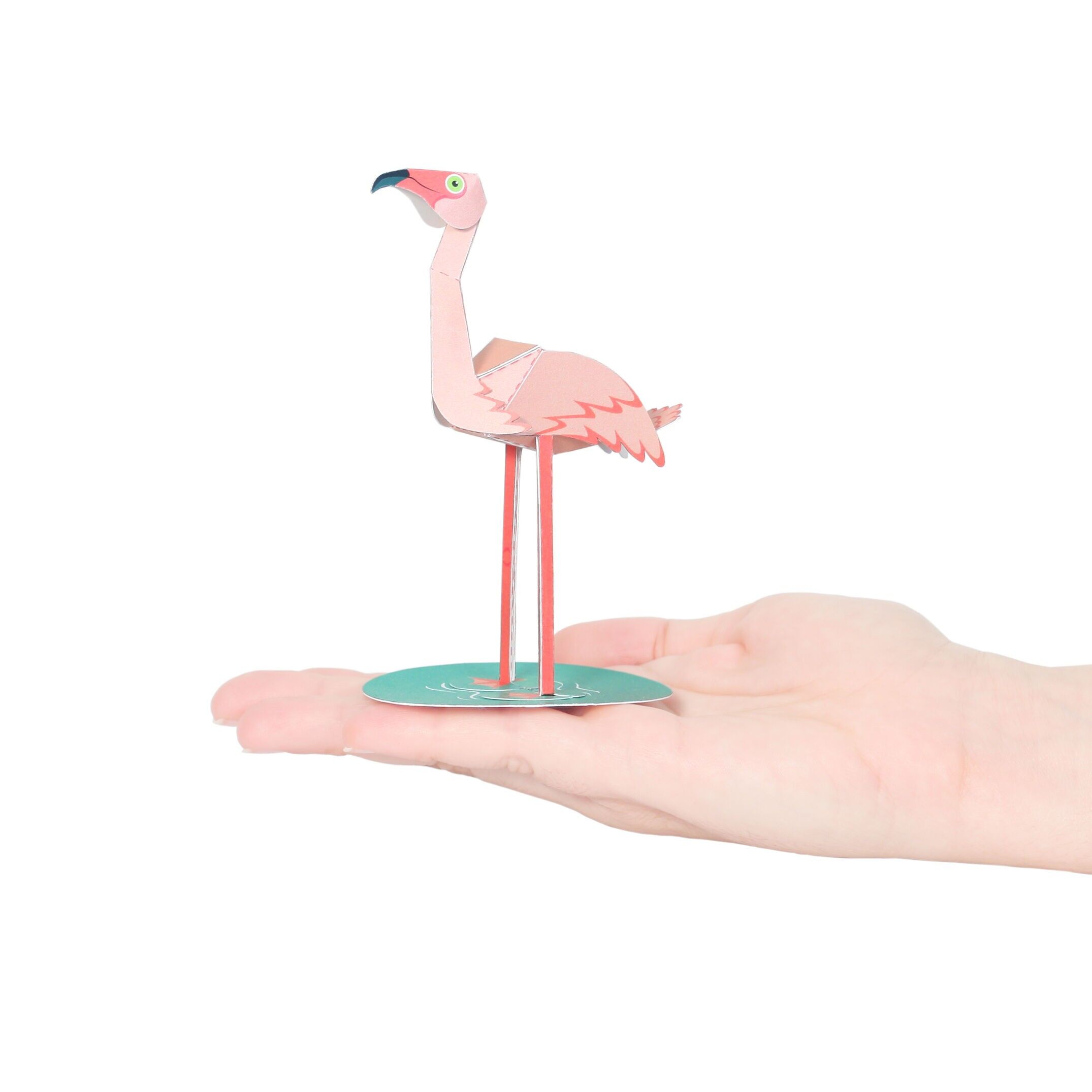 Postal de flamenco rosa