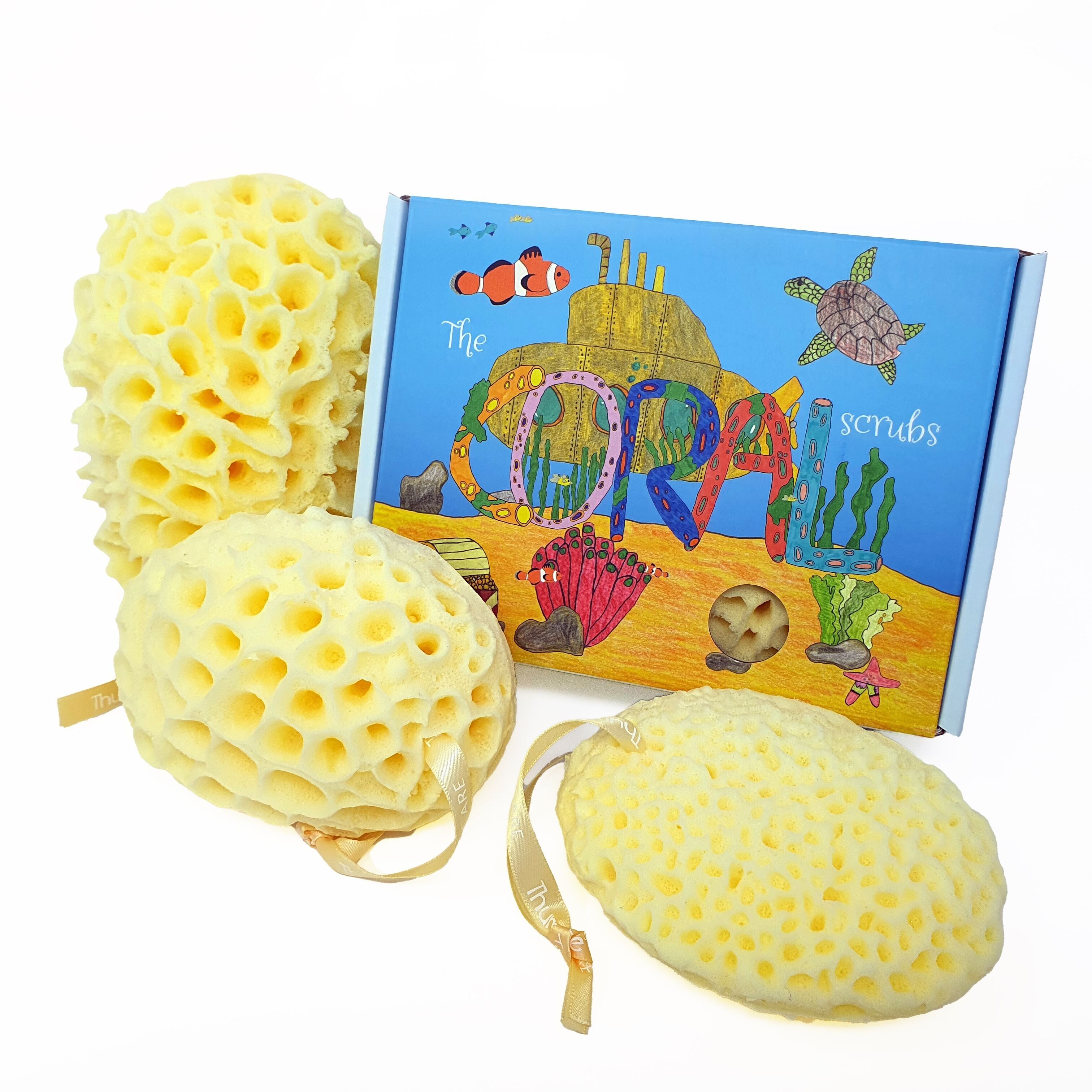 Éponges de bain familiales Coral Scrubs - éponges de bain et de douche inspirées du corail (lot de 3)