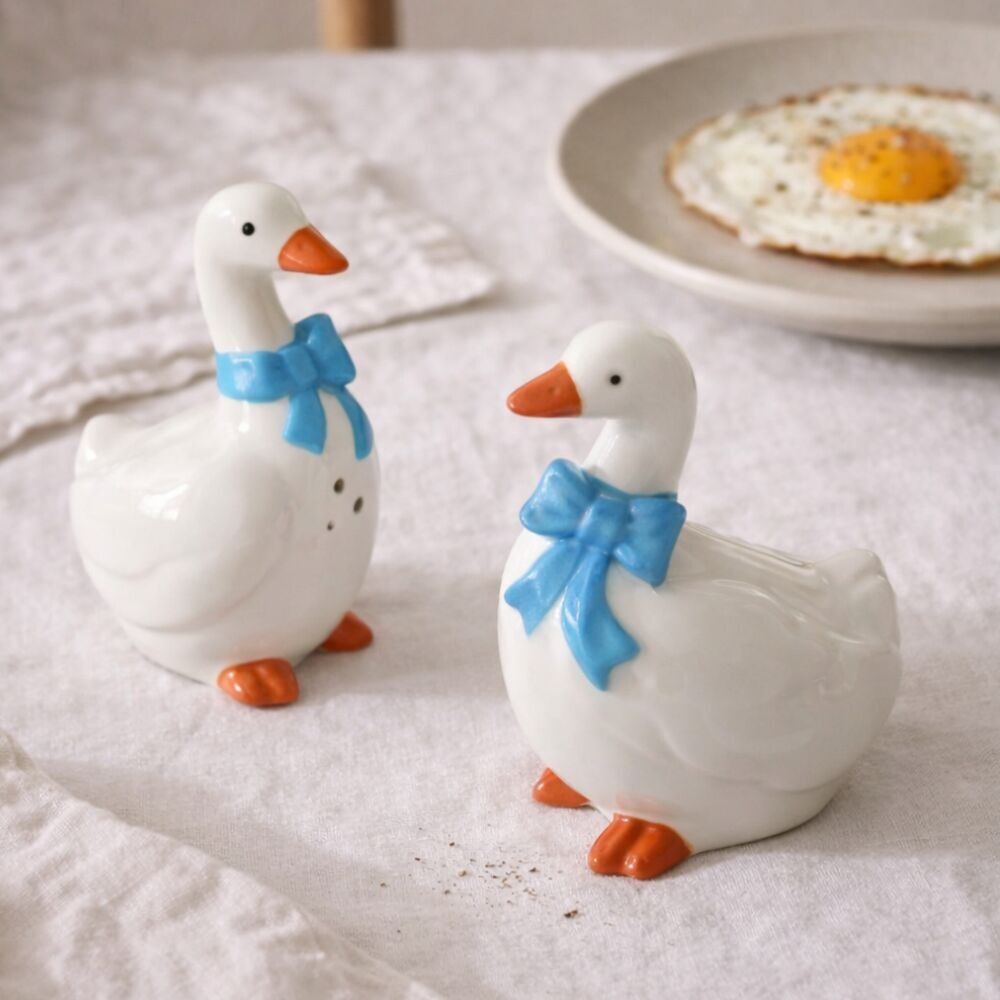 Salière et poivrière en céramique en forme d'oie – Accessoire de cuisine ludique