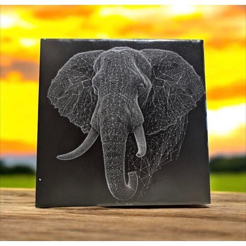 Éléphant sur faïence