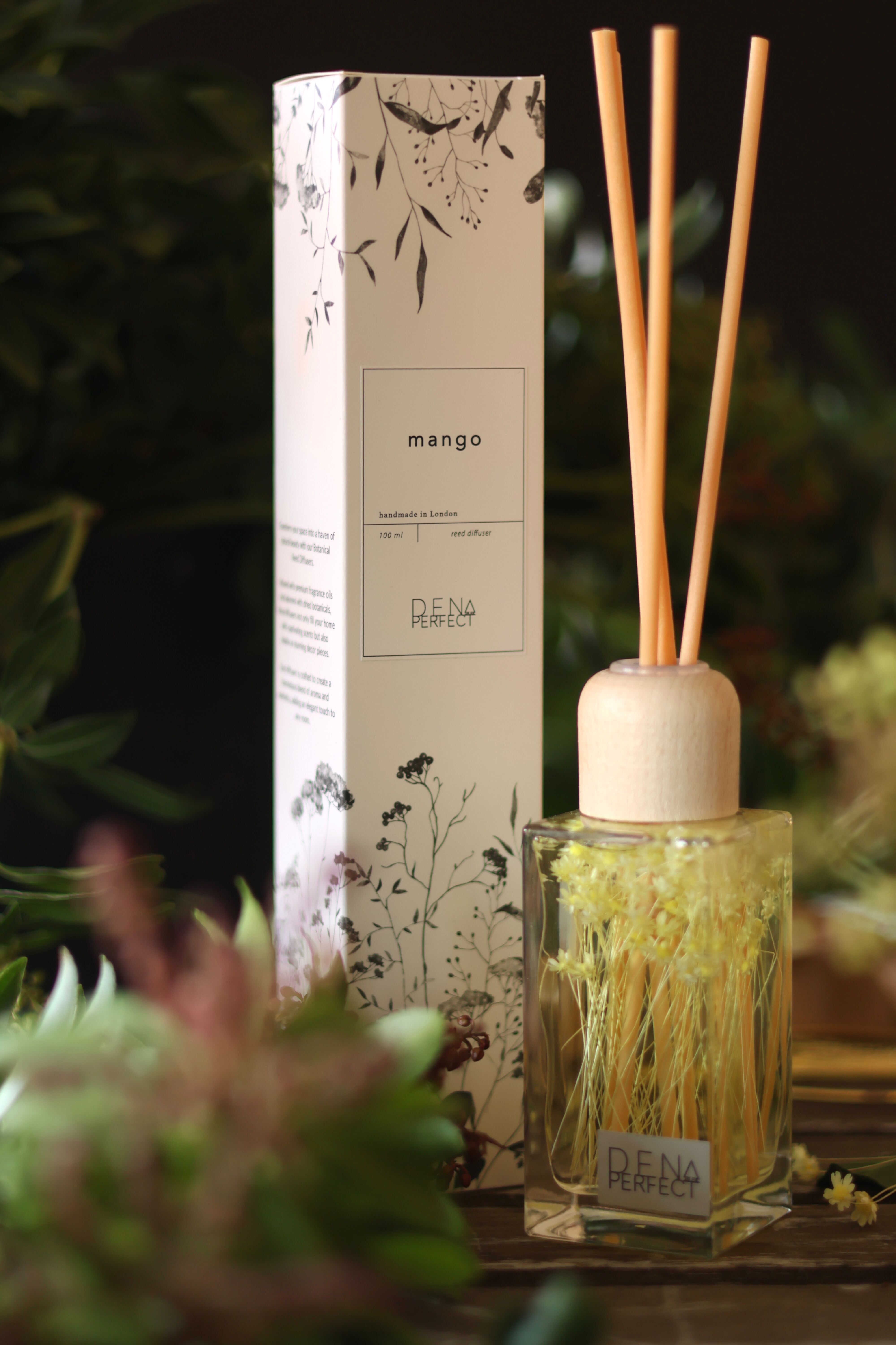 Difusor de varillas botánico - Mango