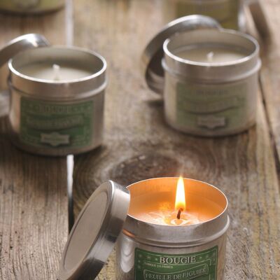 Fig Leaf Scented Candle