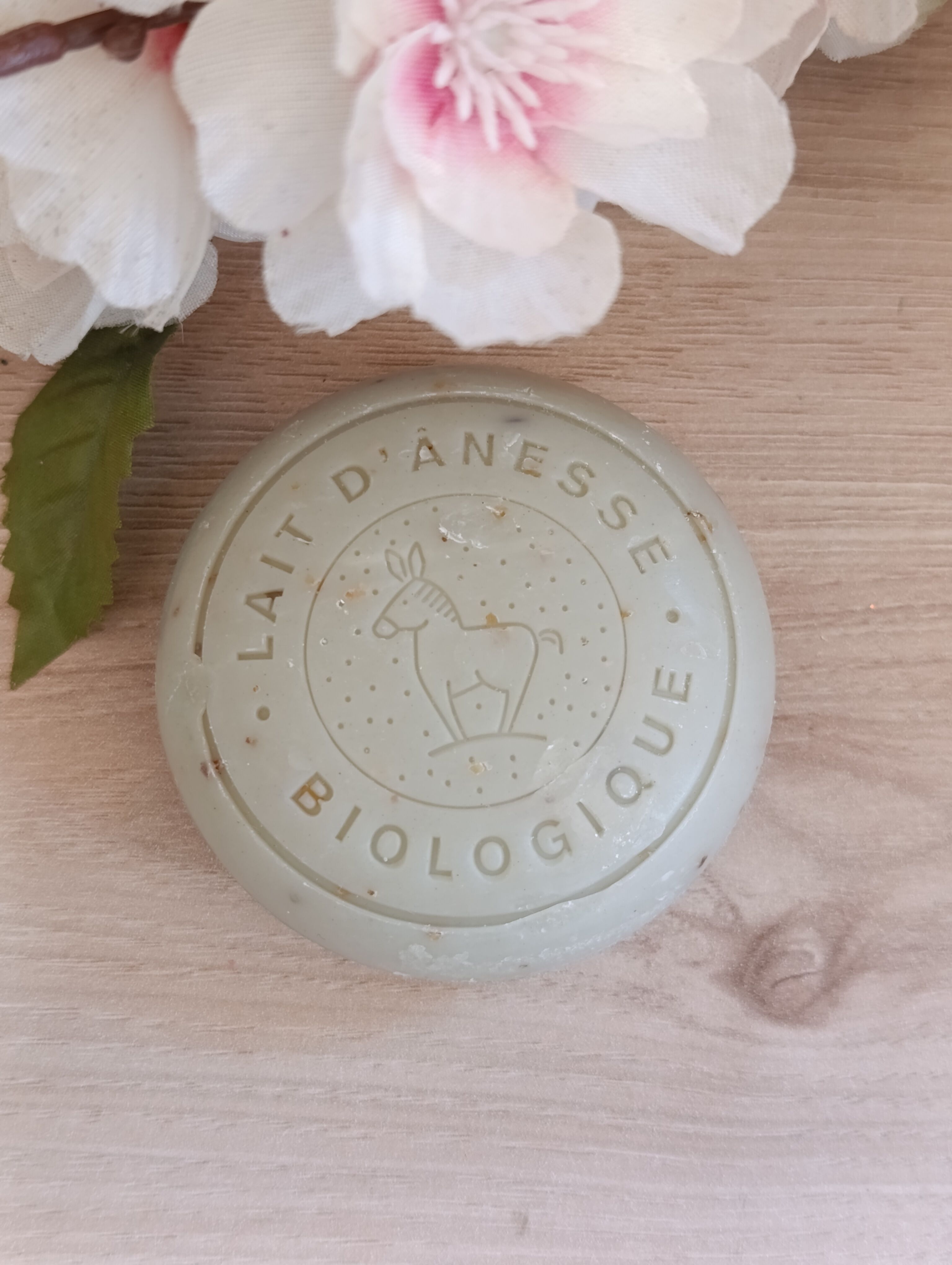 Buy wholesale Pebble-shaped face and body mask with algae