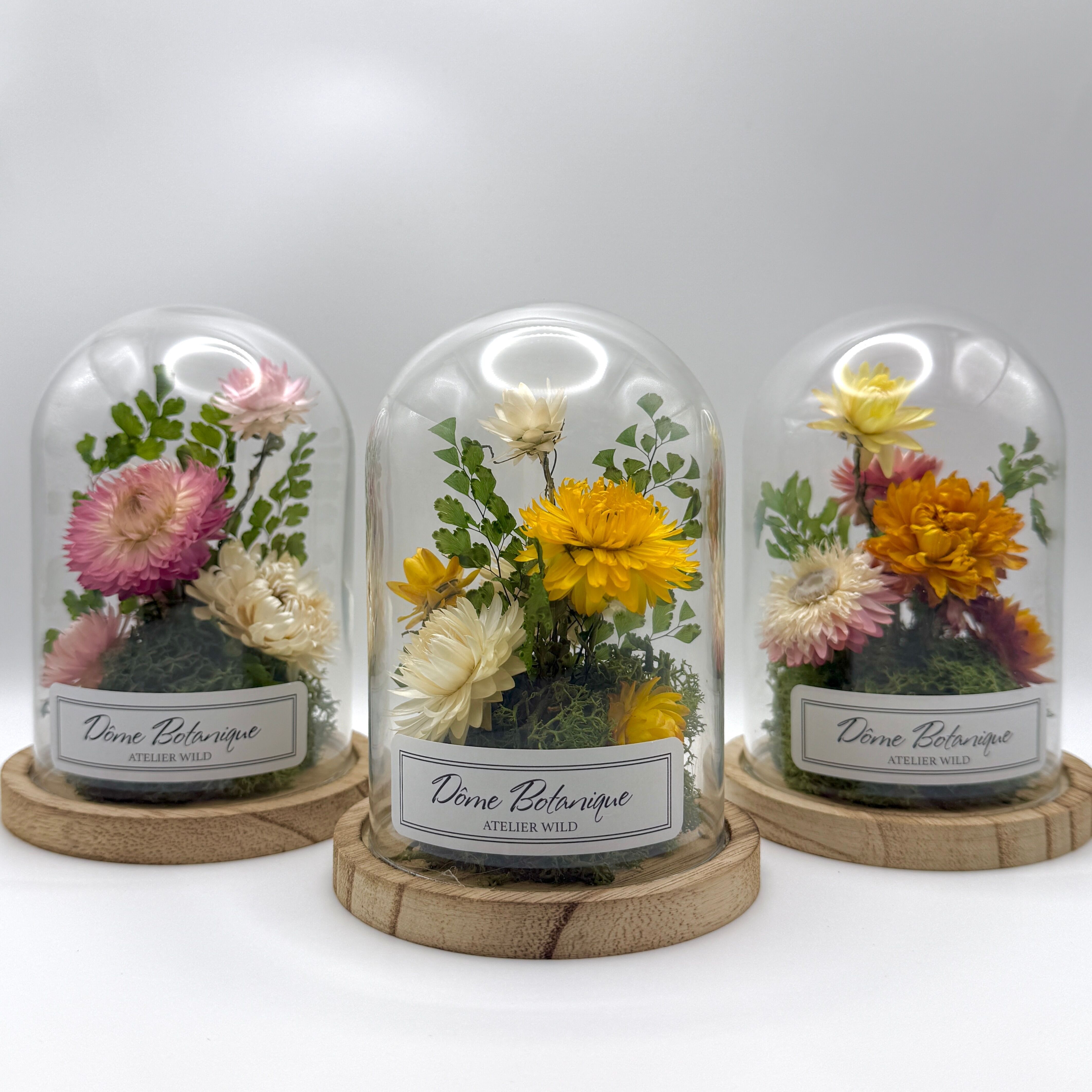 Trío de cúpulas botánicas "Siempreviva" - Campana de flores secas - Pequeña