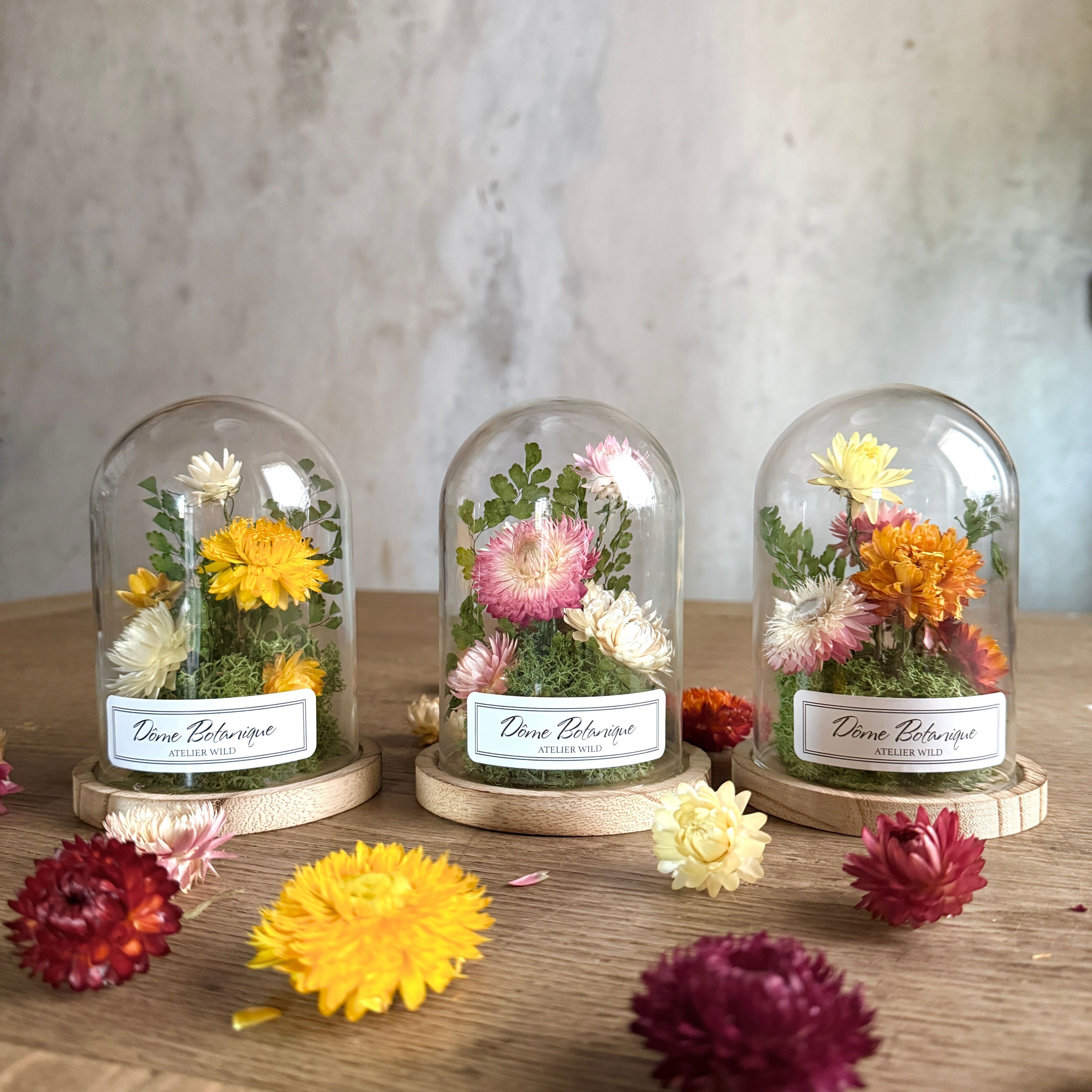 Trio botanischer Glasglocken „Immortelle“ – Trockenblumen-Glasglocke – Klein
