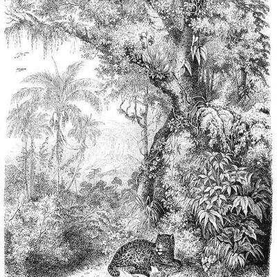 ESTAhome Fototapete Dschungel -158945