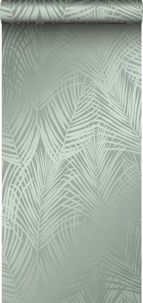 Origin wallpaper palm leaves-347709