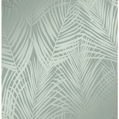 Origine papier peint feuilles de palmier-347709