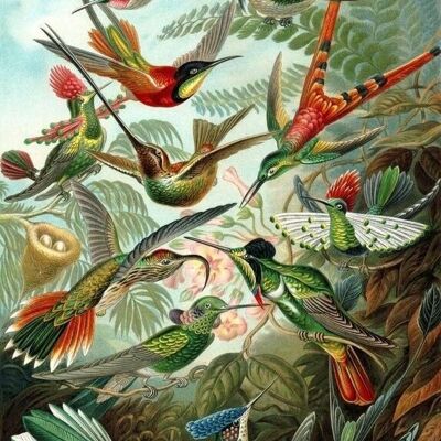 ESTAhome wall mural birds-158954