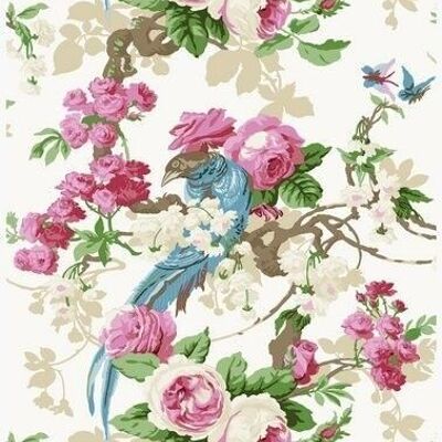Origin wallpaper birds of paradise-326151