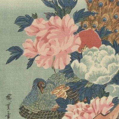 Origin wall mural a peacock and peonies-357233