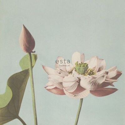 ESTAhome papier peint mural fleur de lotus-158890