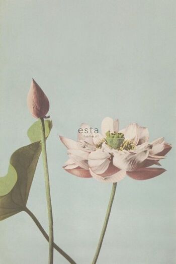 ESTAhome papier peint mural fleur de lotus-158890