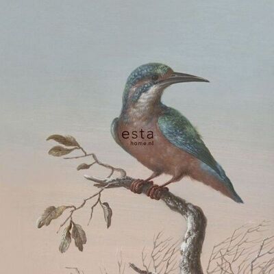 ESTAhome papier peint martin-pêcheur sur branche-158888