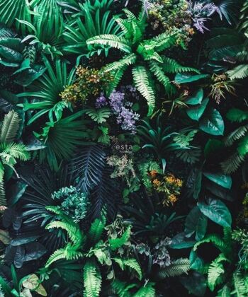 ESTAhome papier peint mural plantes tropicales-158900