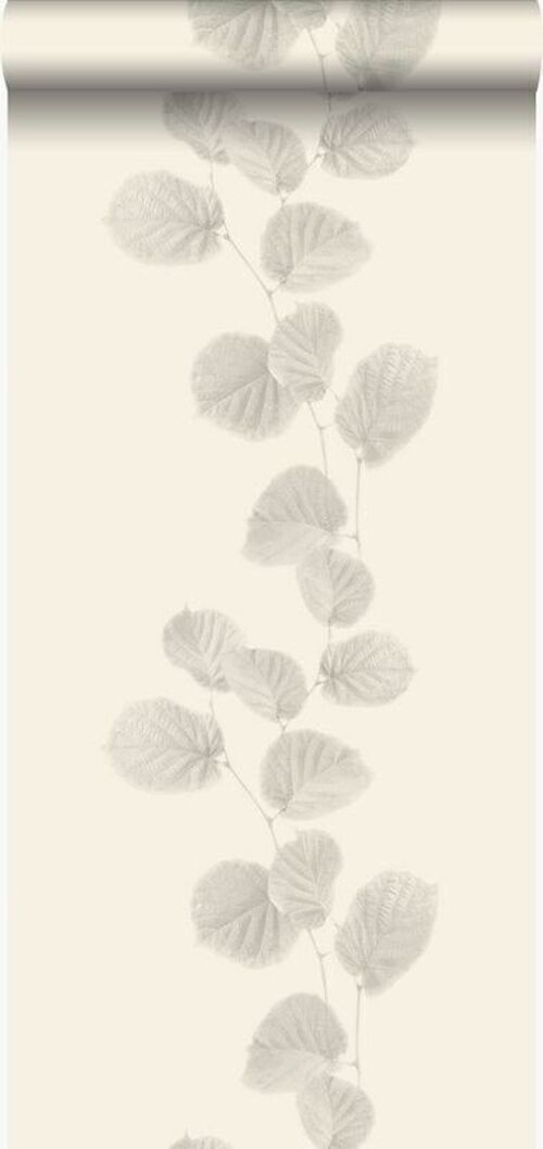 Origin wallpaper leaves-326335