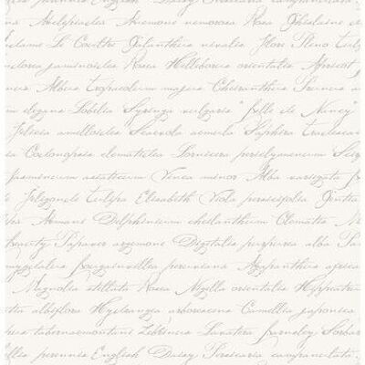 ESTAhome wallpaper handwritten Latin flower names-128031