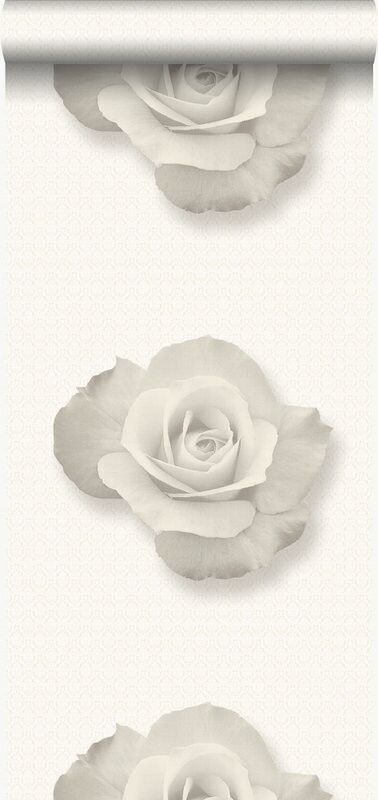 Carta da parati di origine rosa-326330