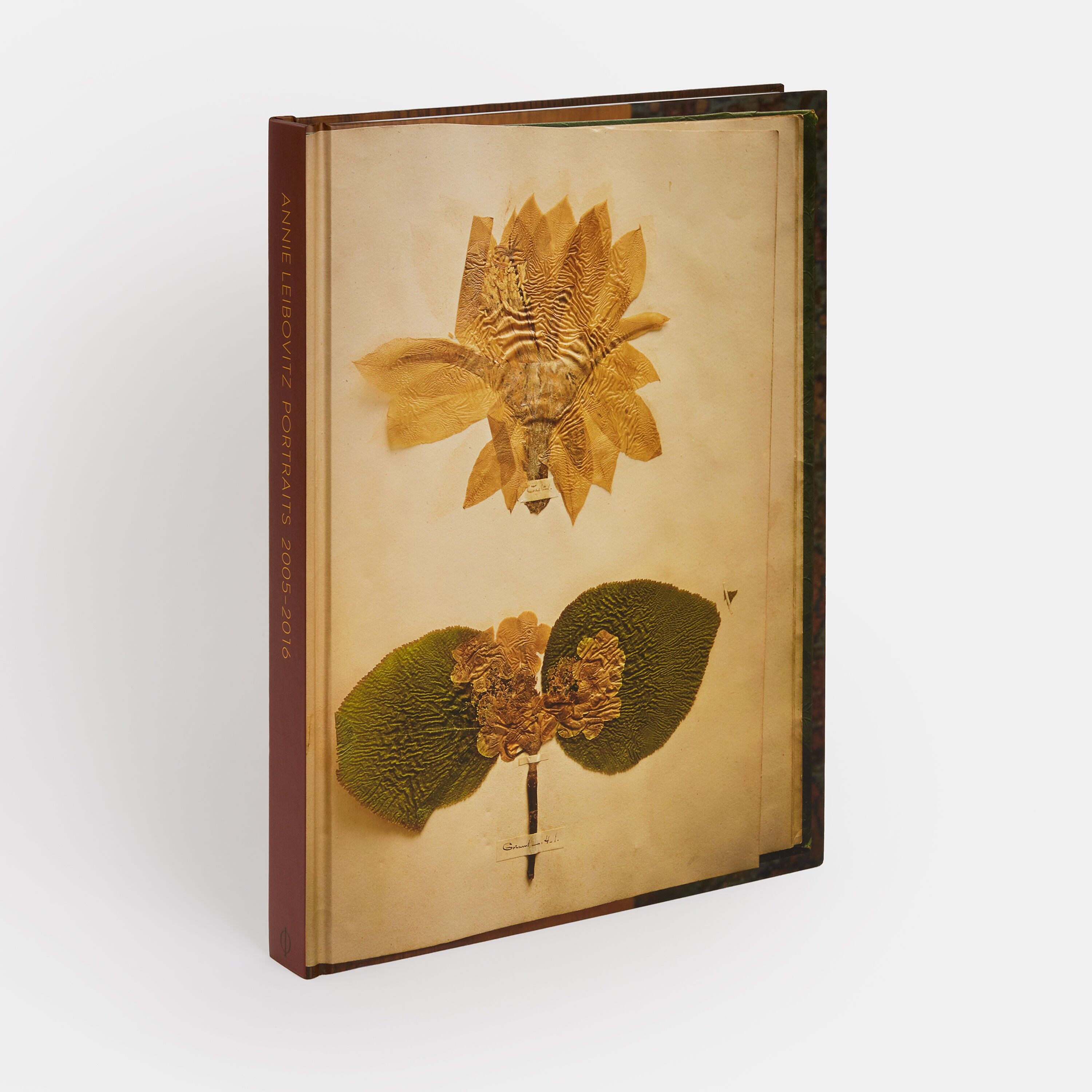 Ritratti di Annie Leibovitz 2005-2016