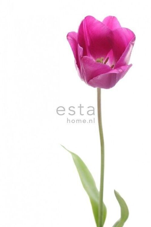 ESTAhome wall mural tulip-156502