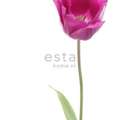 ESTAhome Fototapete Tulpe-156502