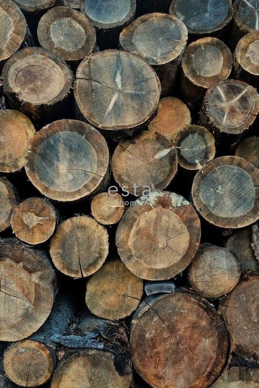 ESTAhome wall mural wood logs-158206