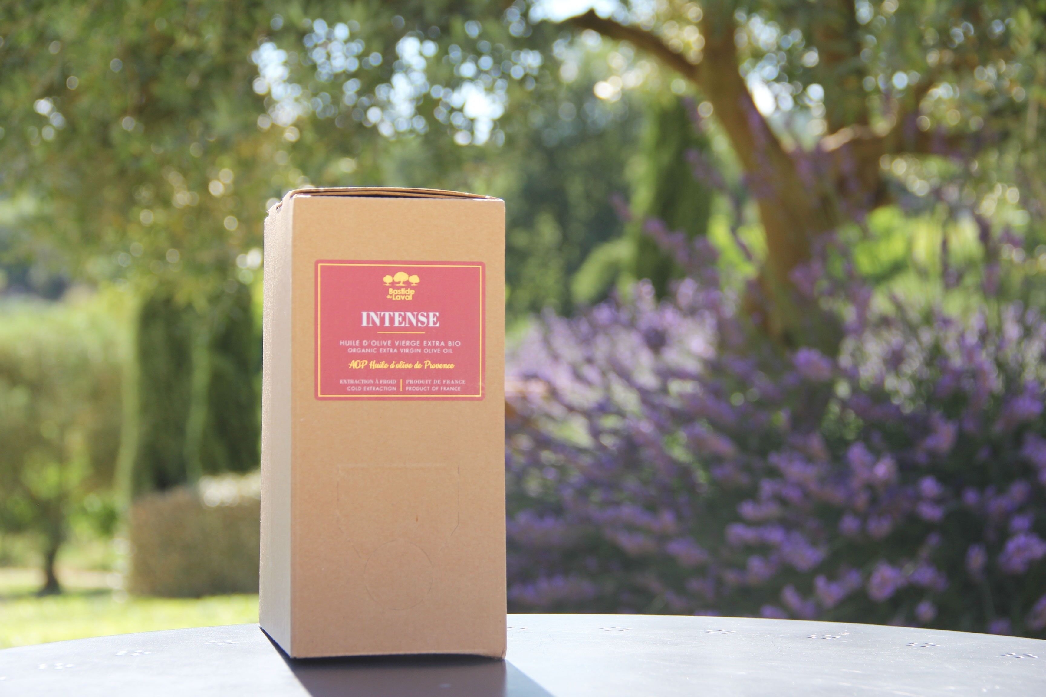 Olio d'oliva biologico DOP Intenso 3L bavaglino - Francia