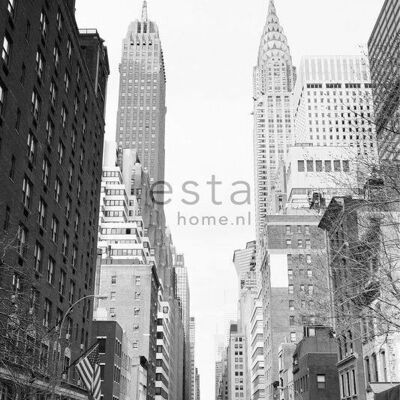 ESTAhome wall mural NY streetview-157706