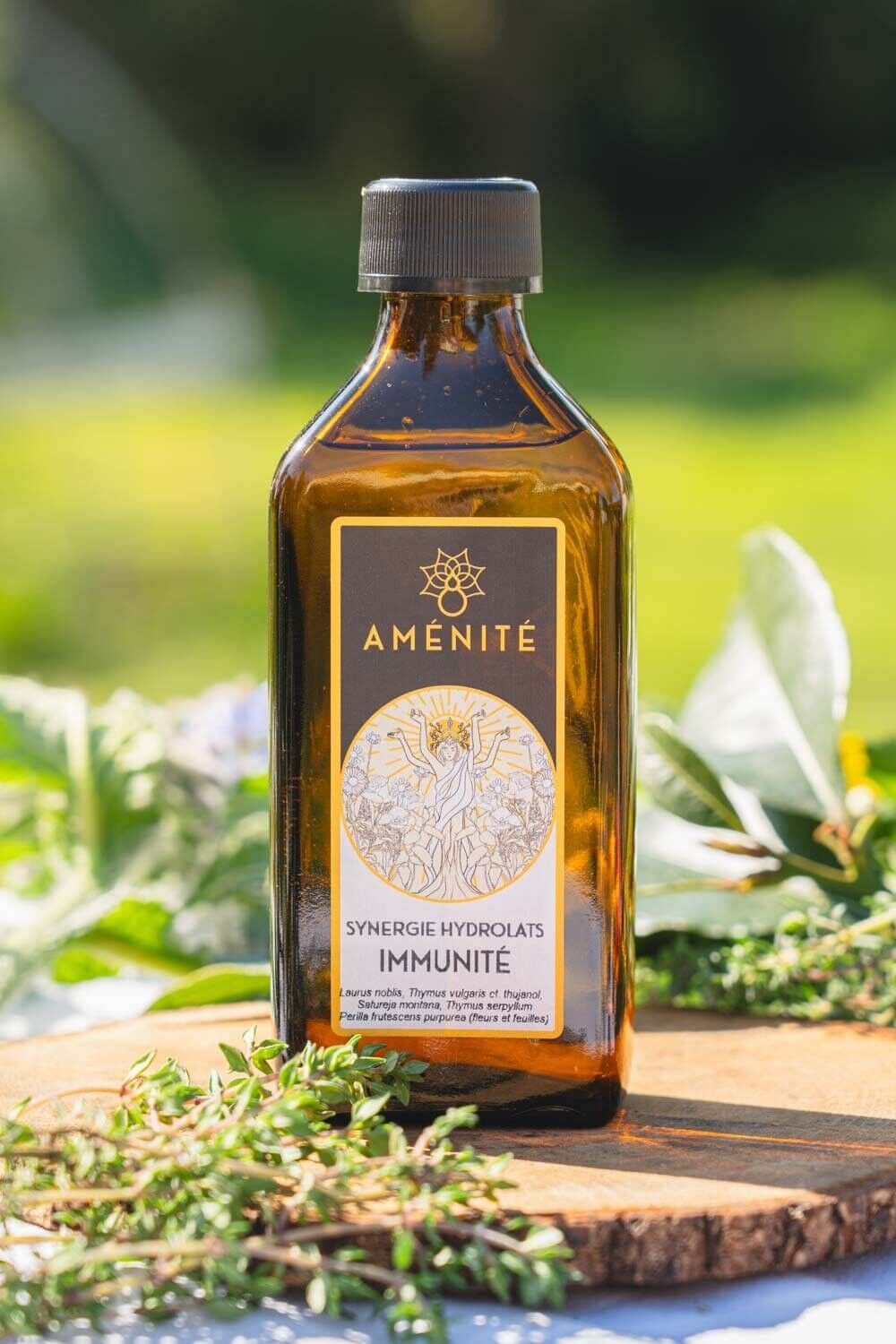 Synergie « Immunité »