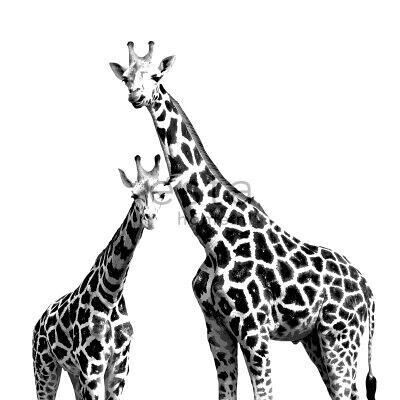 ESTAhome wall mural giraffes-158701