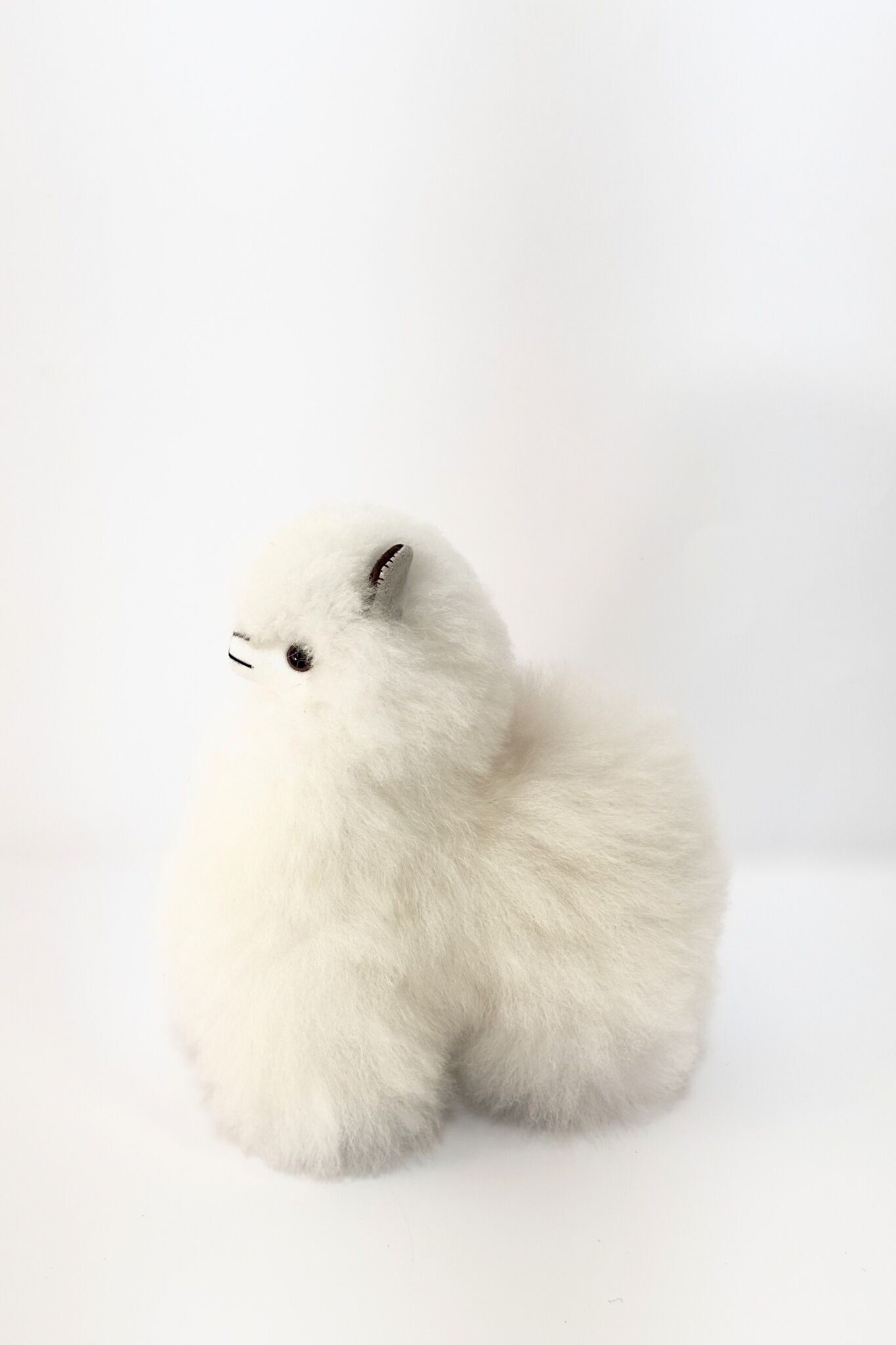 LOT DE PELUCHES ALPAGA – COULEURS ASSORTIES (petites et grandes)