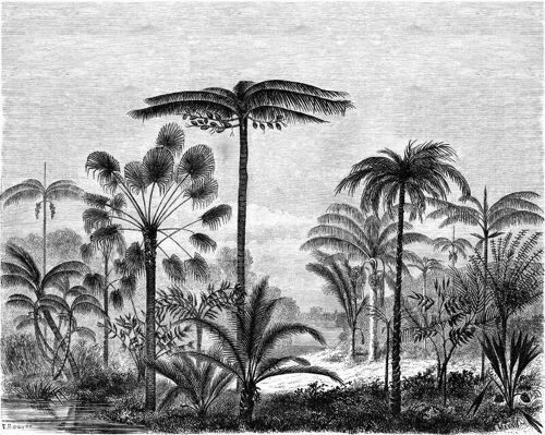ESTAhome wall mural tropical landscape with palm trees-158952