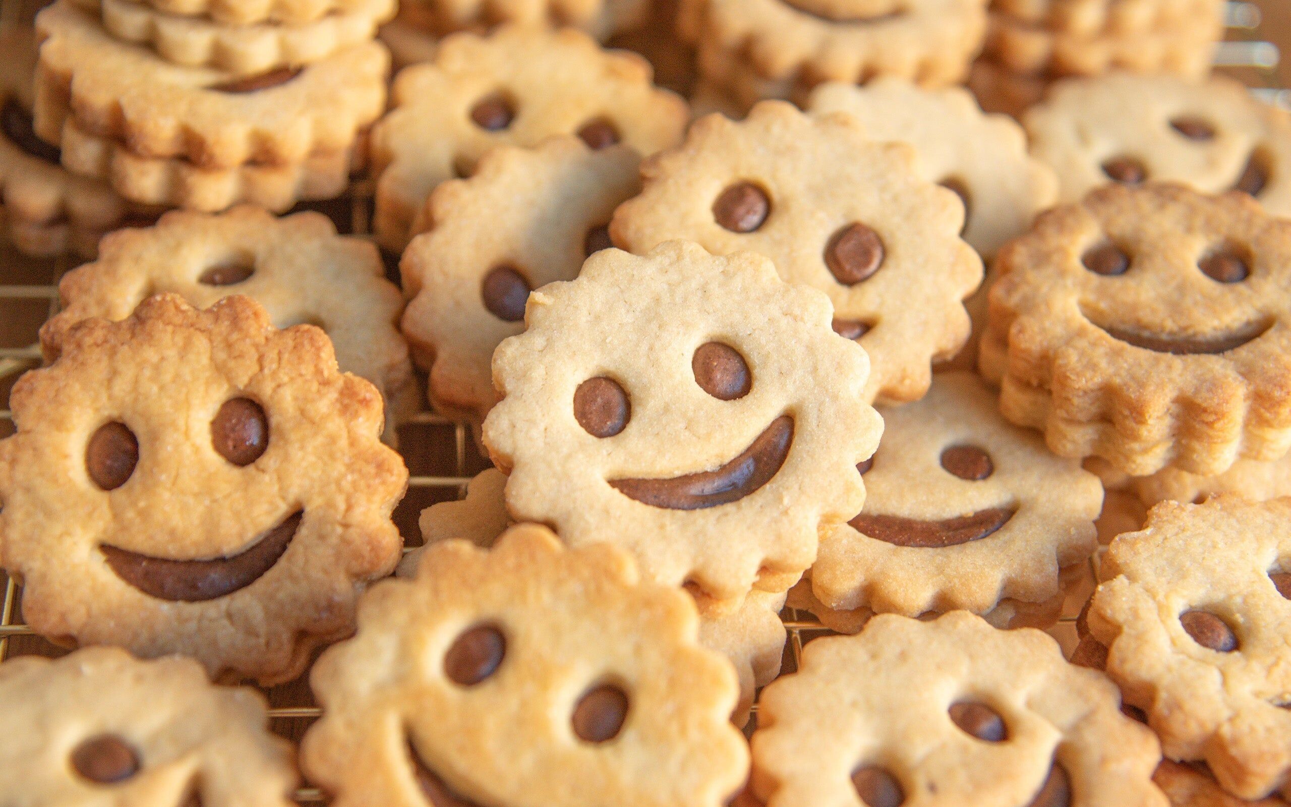 Praline Smile Cookies - Handmade Chocolate Hazelnut Shortbread